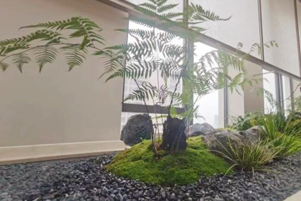 室內(nèi)綠化景觀微景觀設(shè)計(jì)